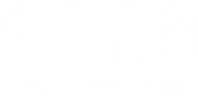 omnicom media group